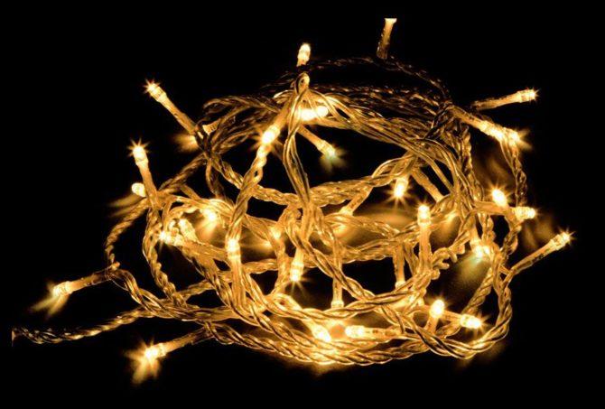 Modelli con nicchie leky