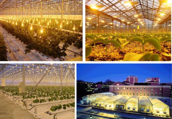 温室中使用过的 HPS 灯