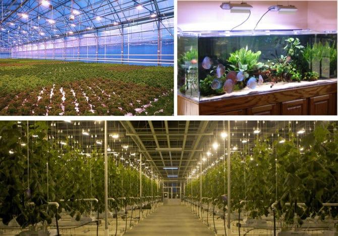 illuminazione aggiuntiva per piante e illuminazione per acquari