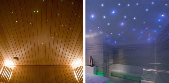 用于光学灯 vv vanata