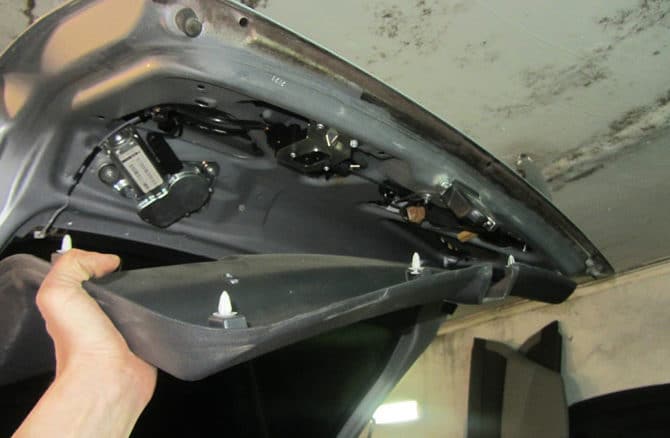 premahvane trên tapiceria trên thân cây tiên nghiệm