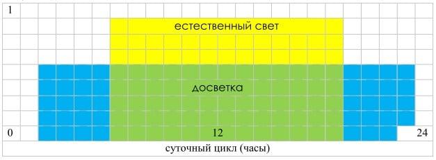 ánh sáng bổ sung