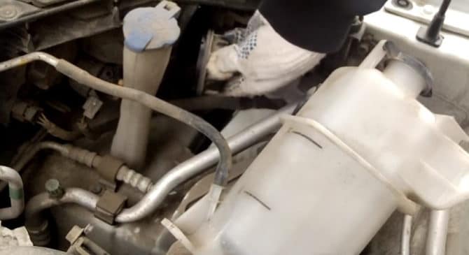 nở trên kasi svetlini