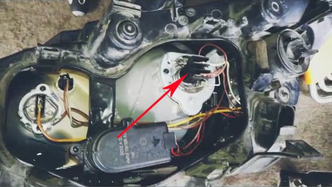 Cốc với kasi svetlini