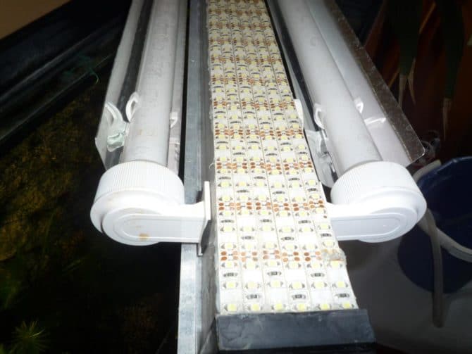 Illuminazione dietro l'acquario "dirigiti da solo"