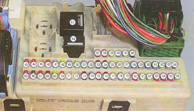 Dorestyling kutia với predpazites
