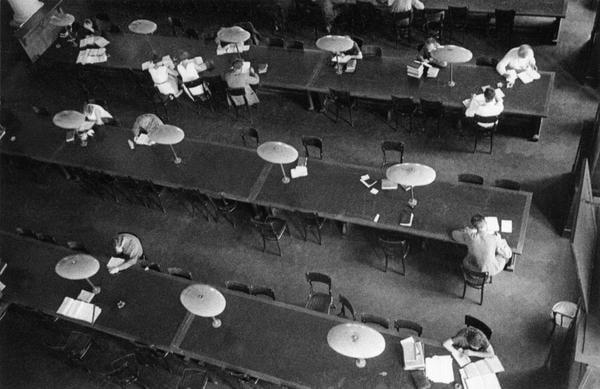 Chụp đèn màu xanh lá cây của Lampi ss trong thư viện