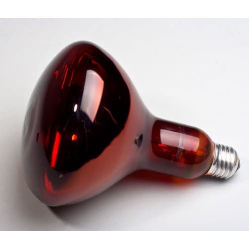 Lampada a infrarossi