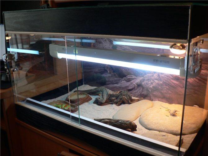 riscaldamento nel terrario