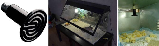 lampada in ceramica per riscaldamento 25 W