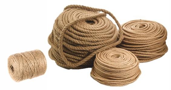 来自犹他州的卡纳普