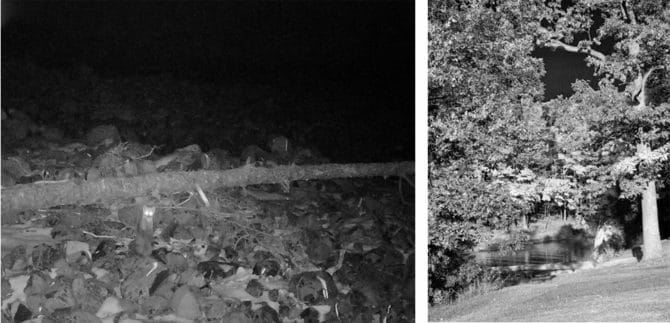 在红外聚光灯下入睡