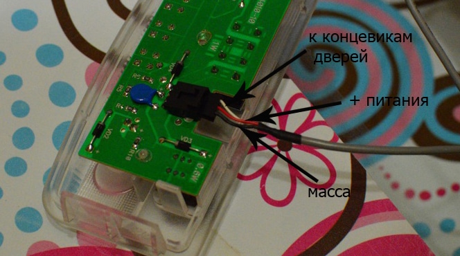 Contatto sul nido sul Fener Priora "Lux"