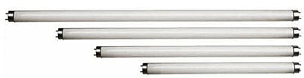 Trabni iztochnitsa su svetlina