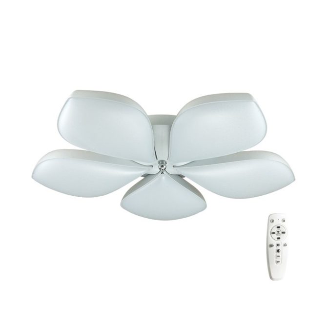 Selezione sul polylay con il pannello di controllo