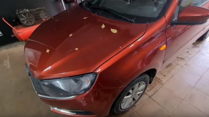 Bạn chọn loại đèn nào cho PTF: điốt vạn năng hoặc đèn LED