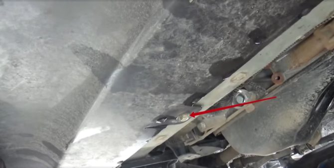 Bạn chọn loại đèn nào cho PTF: điốt vạn năng hoặc đèn LED