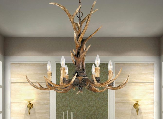 Come scegliere un antico polylei