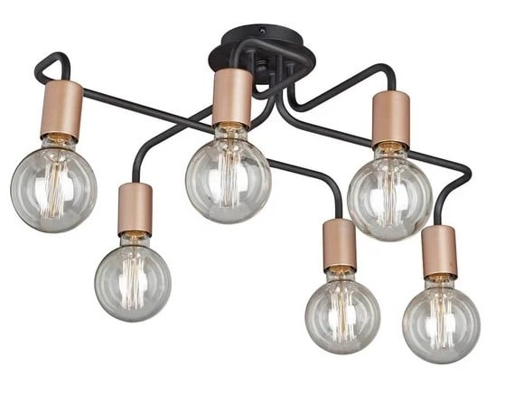 Come scegliere un antico polylei