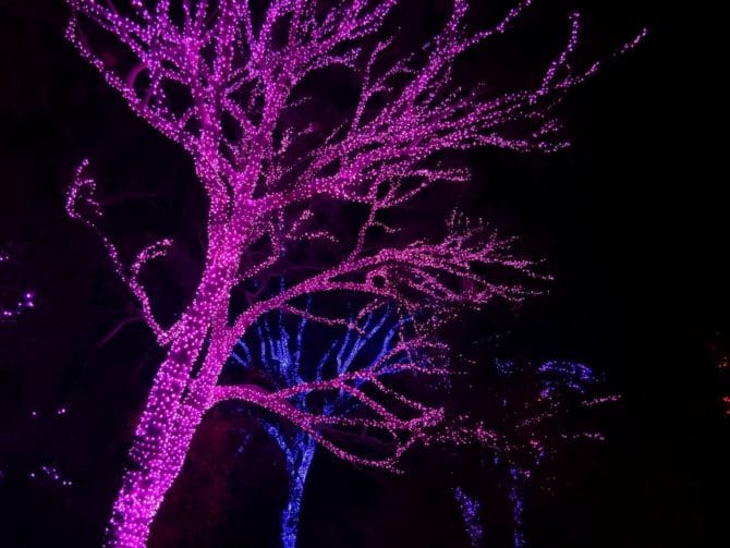 Come si decora il darveta con una ghirlanda e come è necessario per la merce