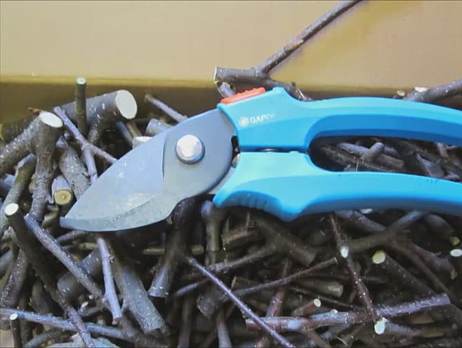 Come orientare la lampada da tavolo dalla porta