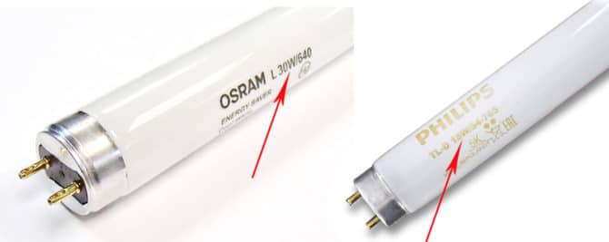 Qual è lo starter per una lampada fluorescente?