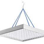 Những loại làm rõ cho cây giống, vâng, chọn vui lòng