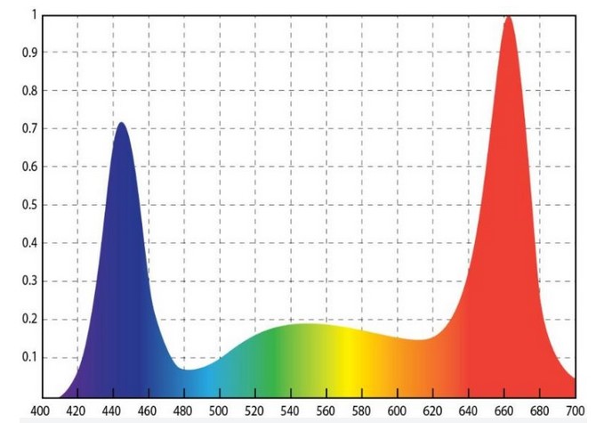 Những loại làm rõ cho cây giống, vâng, chọn vui lòng