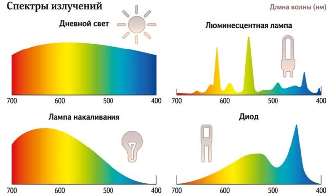 Come possiamo scegliere una lampada da un kokosharnik rosso e come possiamo usarla