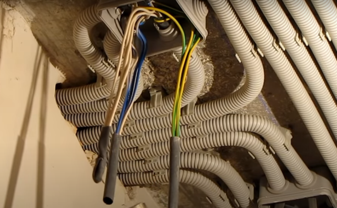 sezionatori di kutia