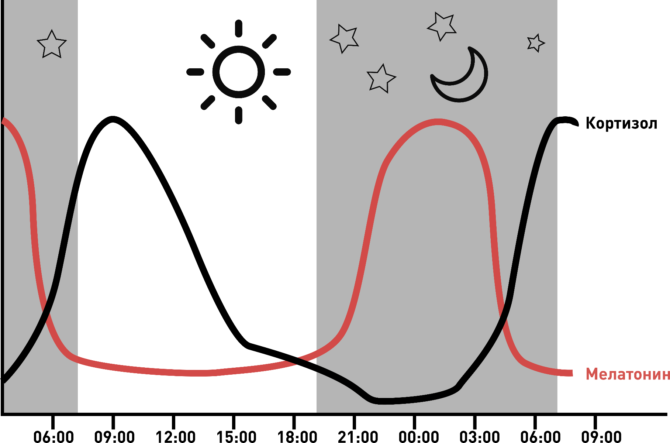与自然光 (KEO) 的比率是多少